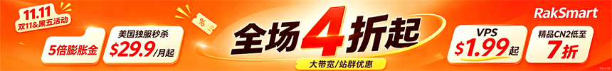 RAKsmart国外服务器